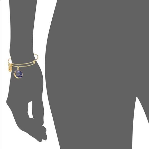 Alex and Ani Stellar Love Charity Design Bracelet - Picture 8 of 10